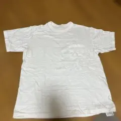 ビームスプラス 別注 ループウィラー 半袖 スウェット Tシャツ 白
