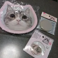 もちまるセット