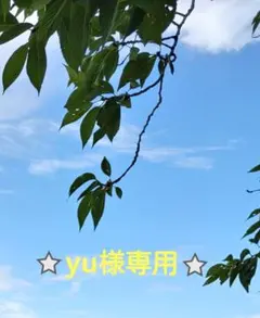yu様専用商品になります⭐