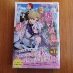 精霊に「お前は主人にふさわしくない、契約破棄してくれ!」と言われたので、欲しが…