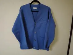 Item thumbnail for item a612966a-a41e-408f-bb12-803df700b2e1