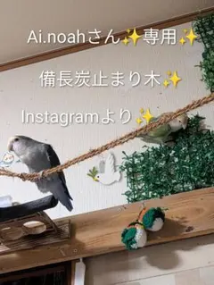 備長炭止まり木⭐️パーチ⭐️止まり木⭐️専用です(*゜∀゜*) - メルカリ