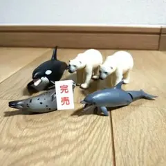 アニア 水族館おまとめセット