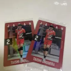 バレーボールウエハウスカード 2025