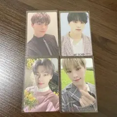 SEVENTEENセブチ ディノ