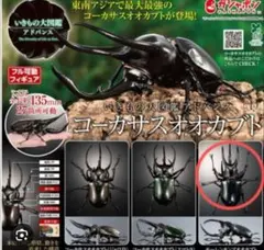 ガチャ　いきもの大図鑑　モーレンカンプオオカブト