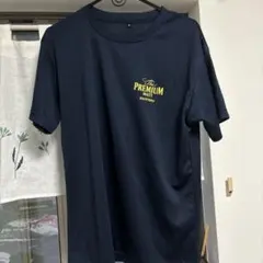 Item thumbnail for item c57cf022-f75c-47f8-982c-3d0f8936e3e7