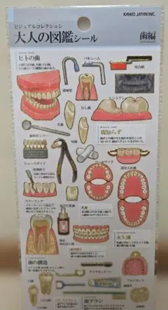 大人の図鑑シール 歯編
