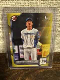 2025年最新】ルーキーカード イチロー 大谷翔平の人気アイテム - メルカリ