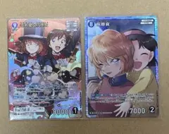 2026年最新】灰原哀 srの人気アイテム - メルカリ