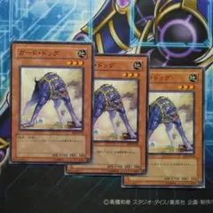 ガードドッグ　3枚