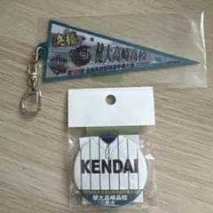 2026年最新】健大高崎 野球の人気アイテム - メルカリ