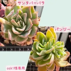 oski様 リクエスト 2点 まとめ商品