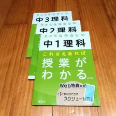 みれ様 リクエスト 2点 まとめ商品