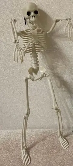 ガイコツ 骨 可動式 ハロウィン フィギュア