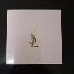 YSL ラディアンドタッチ3Dグロウのサムネイル