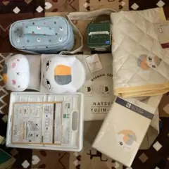 Item thumbnail for item 95067ff7-23e3-4c57-bfc4-29c181019feb