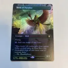 2025年最新】極楽鳥 foilの人気アイテム - メルカリ