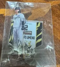 ゴルフ大好き様 リクエスト 2点 まとめ商品