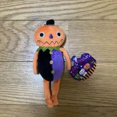 カルディ　クタクタカボチャン