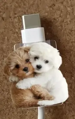 Item thumbnail for item 7ca1f37a-8034-4c9f-b6b6-ca2a5db7ab7b