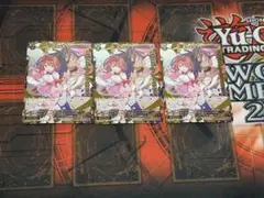 Item thumbnail for item e22134b7-e0be-448e-ab10-848154ed94a2