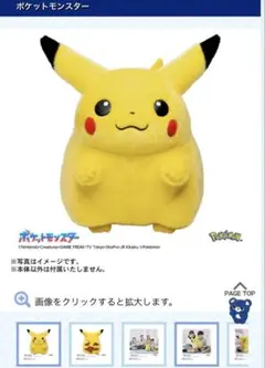 ポケモン30周年記念おかえり!ピカチュウ1/1