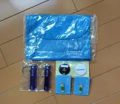 Item thumbnail for item 9a57f1ec-0eeb-4f9f-a4fe-462fed6d91e4