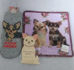 【未使用】　チワワ　3点　セット