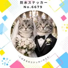 Item thumbnail for item 9db11883-91b9-427c-9b5c-7c15418b7252