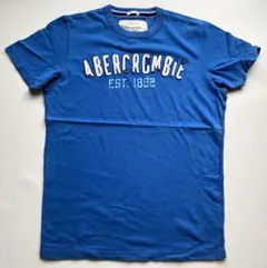 00sデッドストック◇アバクロ Tシャツ S ネイビーロゴ ムースY2K 未 