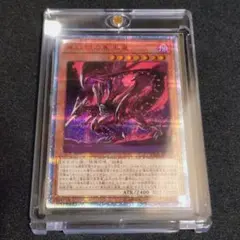 遊戯王 レッドアイズ ブラックドラゴン ナイキ コラボ 英語 NIKE シク