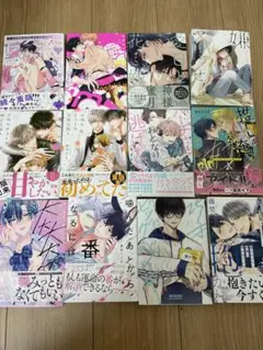 BL漫画 まとめ売り 特典付き