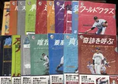 西武ライオンズ　ポスター柄　クリアファイル17点（34枚）セット 西武ライオンズ ポスター柄 クリアファイル17点（34枚）セット - メルカリ