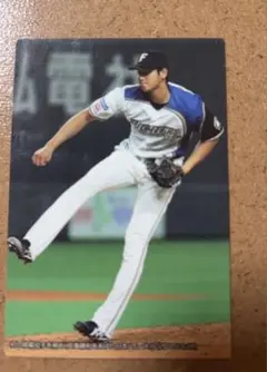 カルビー プロ野球チップス 2016年 大谷翔平 日本ハム - メルカリ
