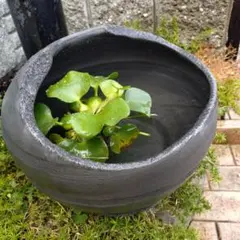 三河焼　陶器　丸型　メダカ鉢　睡蓮鉢　33㌢のサムネイル