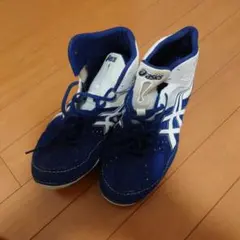 Item thumbnail for item a5b0cdce-5e77-48be-9cfb-6c22d402034e