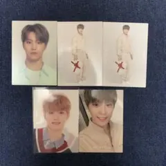 SEVENTEEN トレカ　ディノ