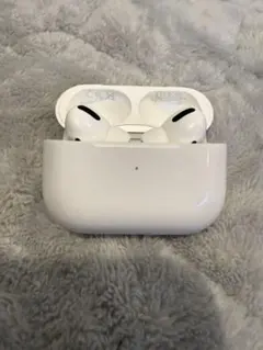 ラ*ん様 Apple Air Pods Pro 第1世代 本体 A2190