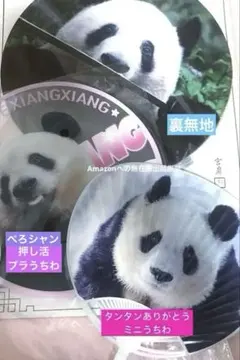 2026年最新】王子動物園 タンタンの人気アイテム - メルカリ