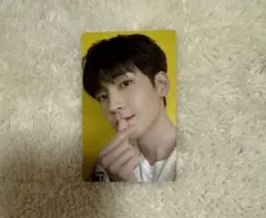 SEVENTEEN ウォヌ あいのちから トレカ