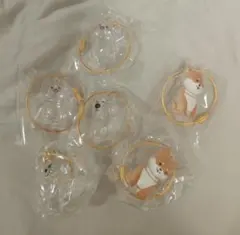 わんこのタイムカプセル　セット