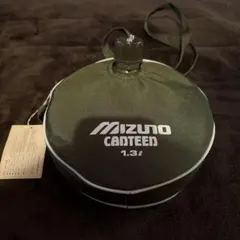 Item thumbnail for item 61d78172-0866-45d3-9a7b-33e9341dc571