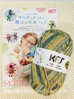 Opal毛糸: KFS [オスカーたちのクローゼット] ペンキ塗り 1玉