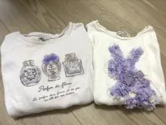 anyfam カットソー 長袖 シャツ tシャツ エニファム