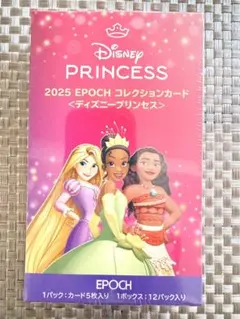 未開封BOX】ディズニー100周年 EPOCH 2023 プレミアエディション