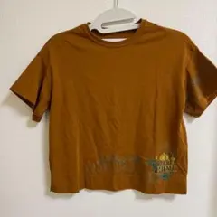ジャンニロジュディチェ　ブラウン 半袖 Tシャツ 刺繍デザイン　36 コットンのサムネイル