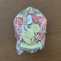 ハリーポッター ガチャガチャ カプセルトイ ミラーチャーム グリフィンドール