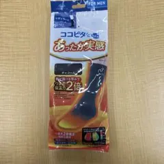 Item thumbnail for item 065e3d98-3606-496f-9dcb-cd5af7a2955c