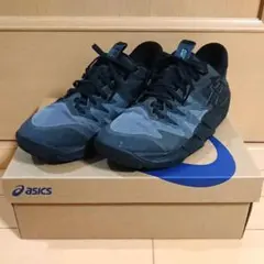 アンプレアルスロー2 BLACK / MGNETIC BLUE 25.5cm